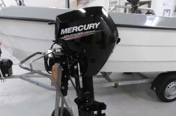 Mercury F15 ELPT EFI